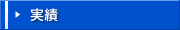 実績